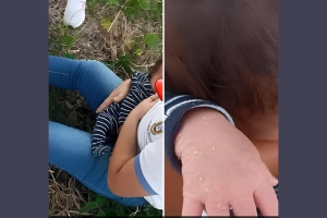 l_1773693029