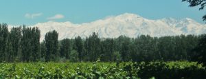 El cerro Aconcagua, en la provincia de Mendoza. Foto: Wikimedia Commons.