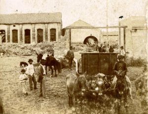 Trabajadores en un ingenio azucarero de Tucumán. Foto: Wikimedia Commons.