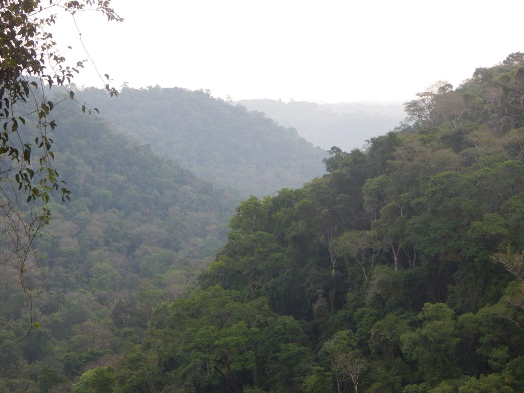 Paisaje de sierras en la provincia de Misiones. Foto: Wikimedia Commons.